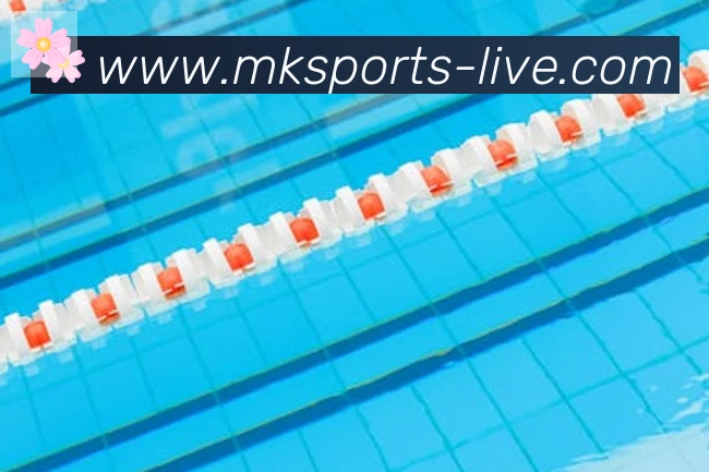 MK体育平台生态图