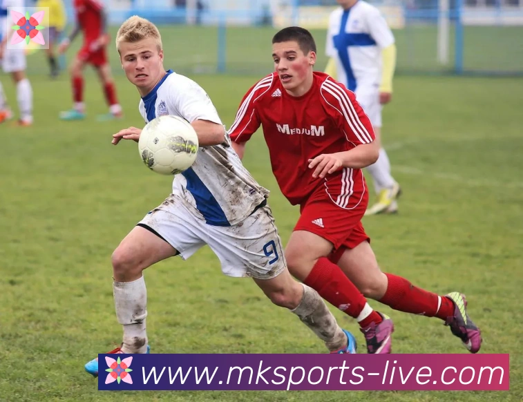 MK体育APP 高清赛事图