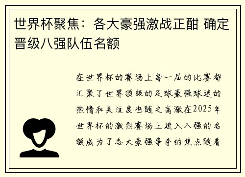 世界杯聚焦：各大豪强激战正酣 确定晋级八强队伍名额